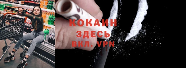 индика Лабытнанги