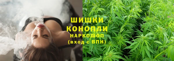 apvp Лагань