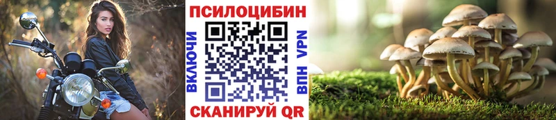 Галлюциногенные грибы MAGIC MUSHROOMS  как найти закладки  mega вход  Агидель 