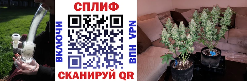 Канабис Amnesia купить Агидель